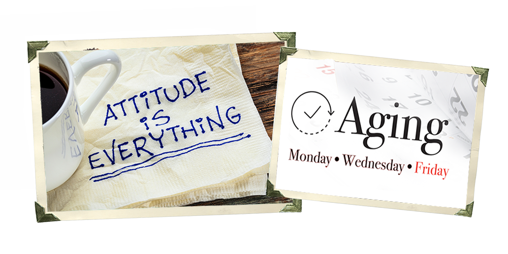 All Attitude