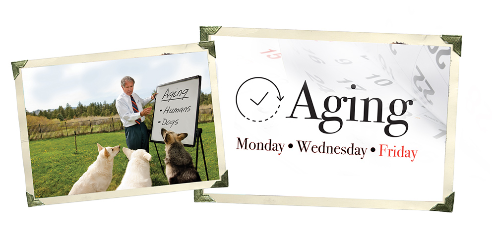 Aging Friday